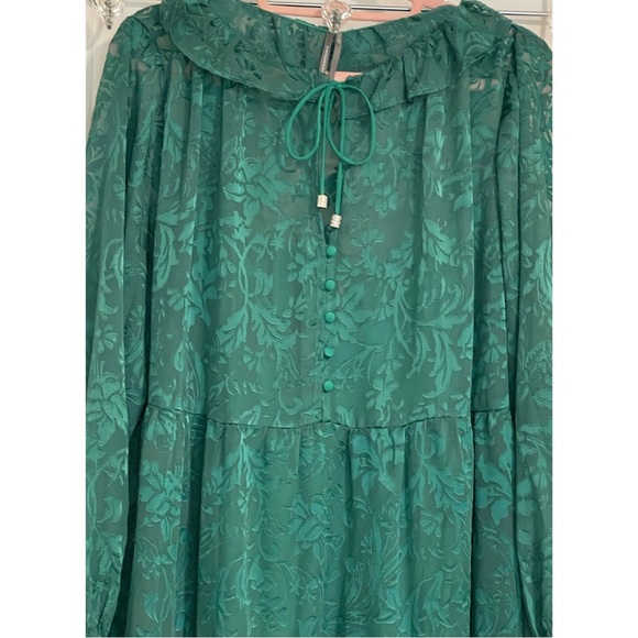 Anthropologie The Marais Maxi Dress: Satin-Burnout Edition NWT SZ 1X - Picture 10 of 15